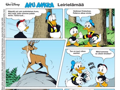 Leirielämää