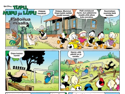 Palloilua maalla