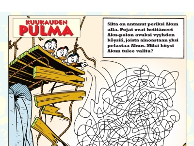 Kuukauden pulma