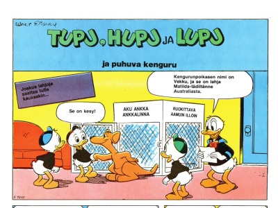 Tupu, Hupu ja Lupu ja puhuva kenguru