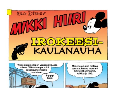 29292 ja irokeesikaulanauha