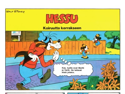 Koiruutta kerrakseen