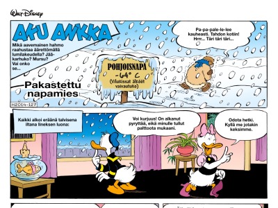 Pakastettu napamies