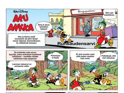 Runsaudensarvi