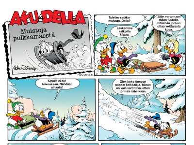 Muistoja pulkkamäestä