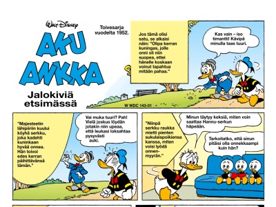 Jalokiviä etsimässä