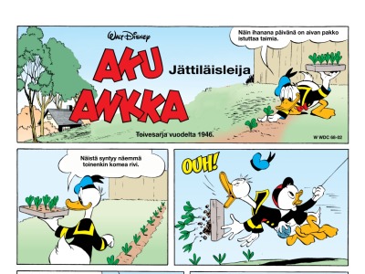 Jättiläisleija